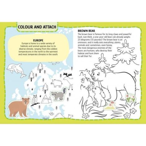 Primul set de arta & lucru manual - animalute - poza 3