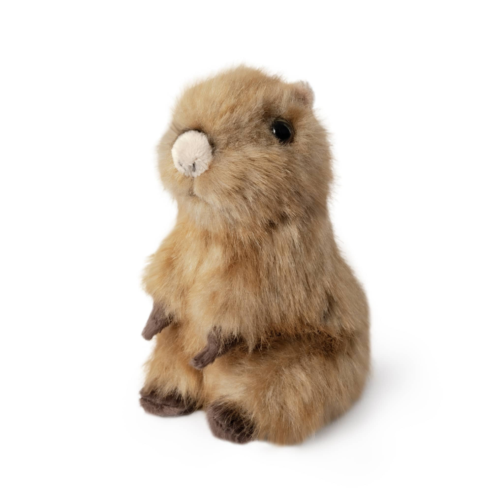Pui de Capybara de plus (pozitie sezut) , Living Nature