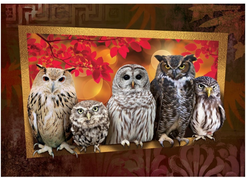 Puzzle 1000 piese Art Puzzle Night Hunters