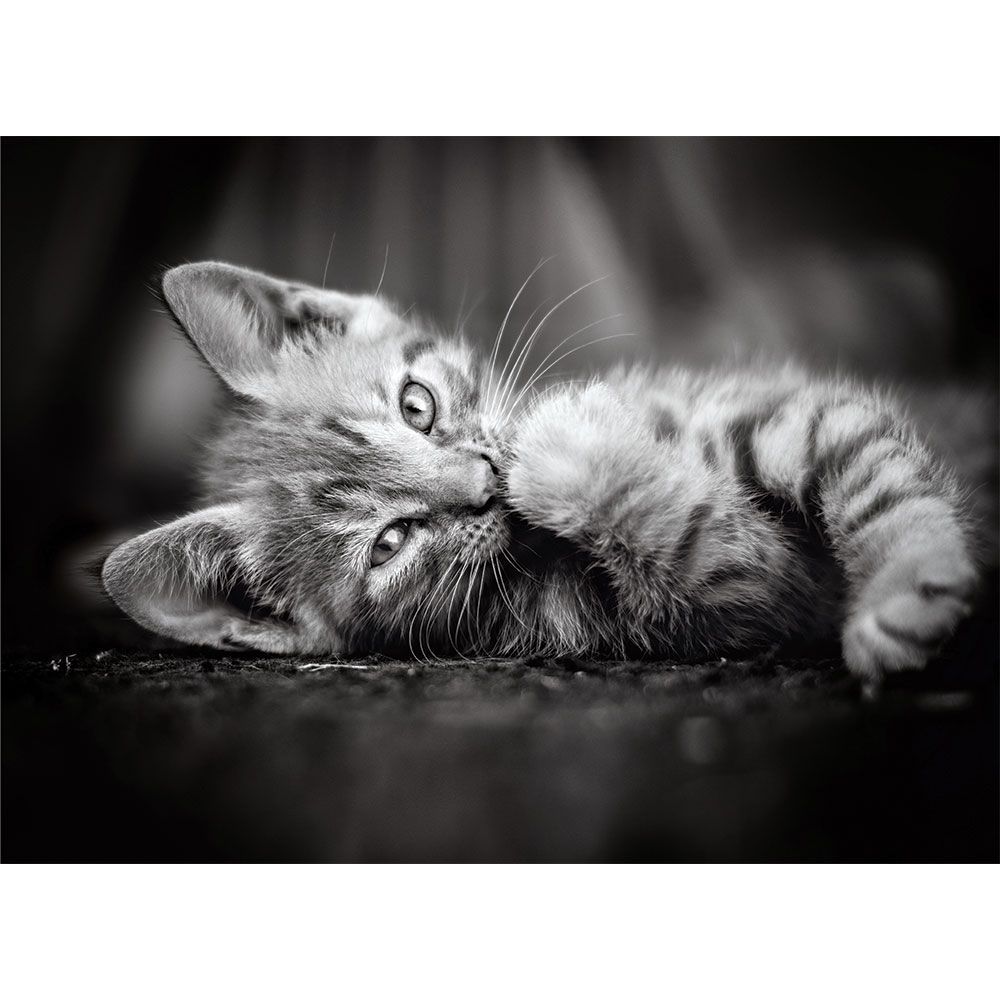 Puzzle 1000 piese Clementoni Cat - poza 2