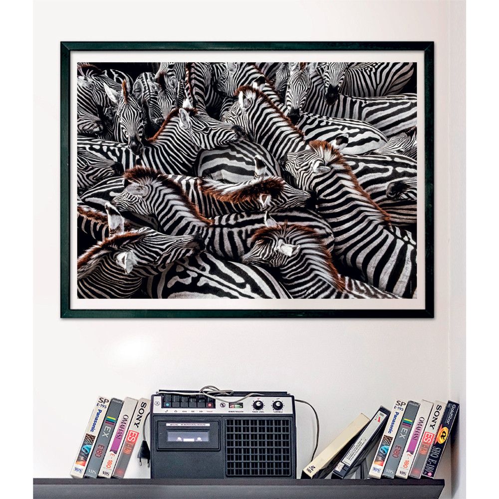 Puzzle 1000 piese Clementoni National Geographic Zebra 39729 - poza 4