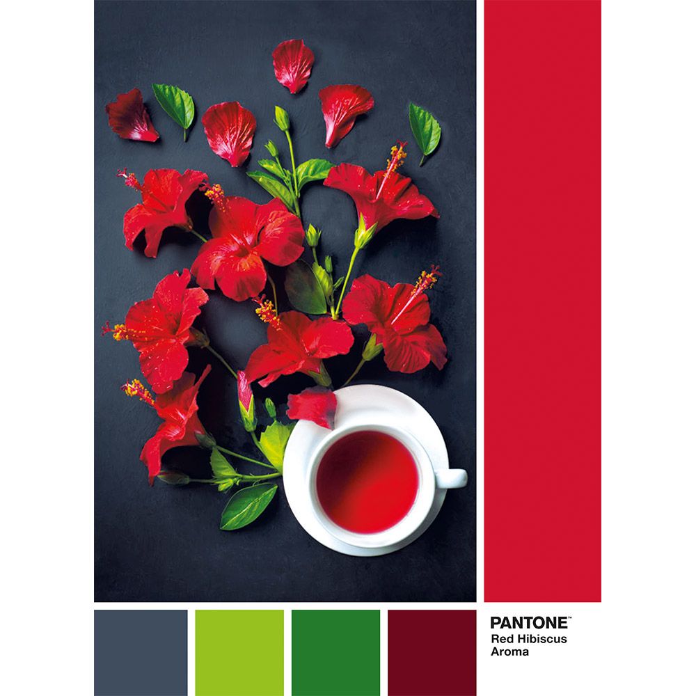Puzzle 1000 piese Clementoni Pantone Goji Berry - poza 2