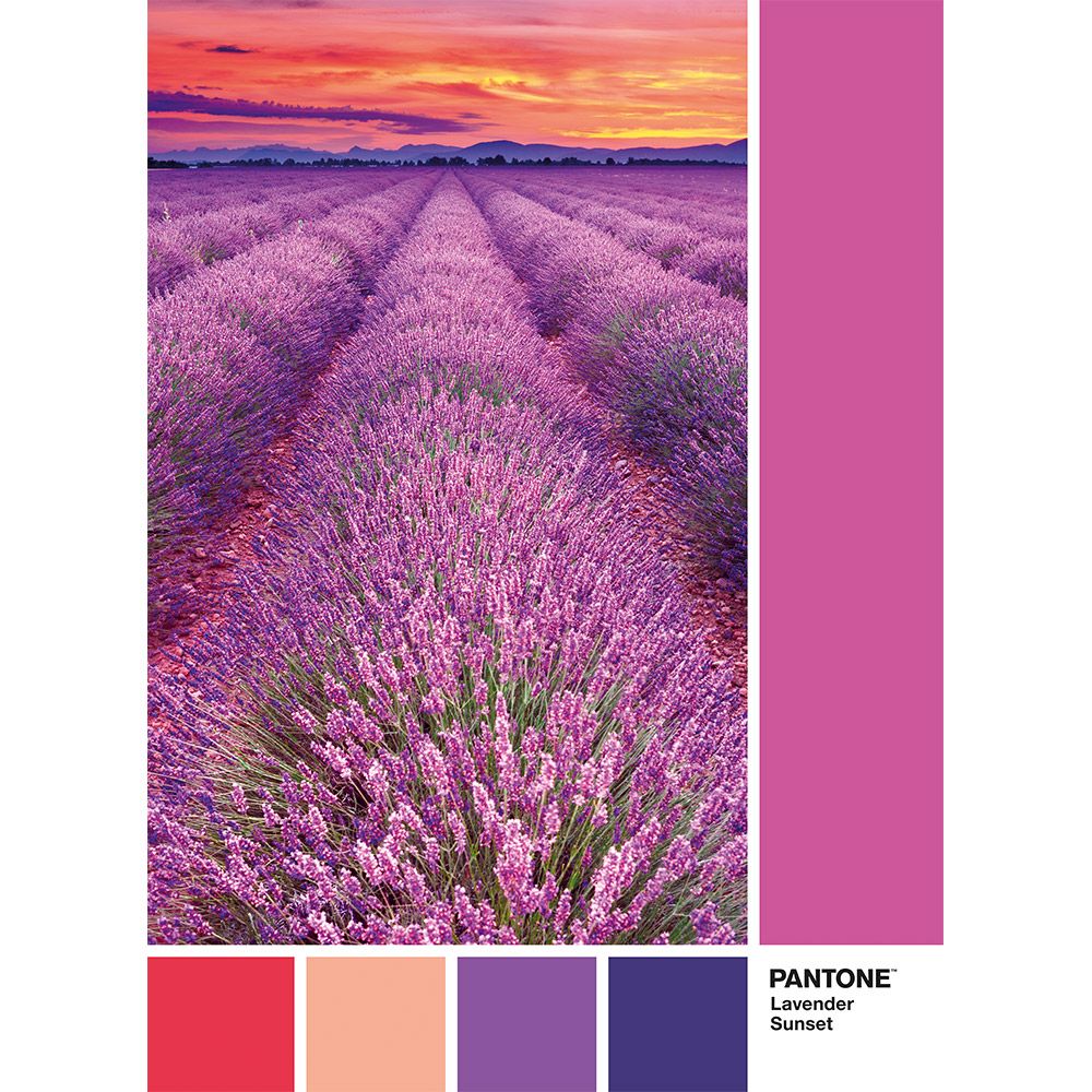 Puzzle 1000 piese Clementoni Pantone Vivid Viola - poza 2
