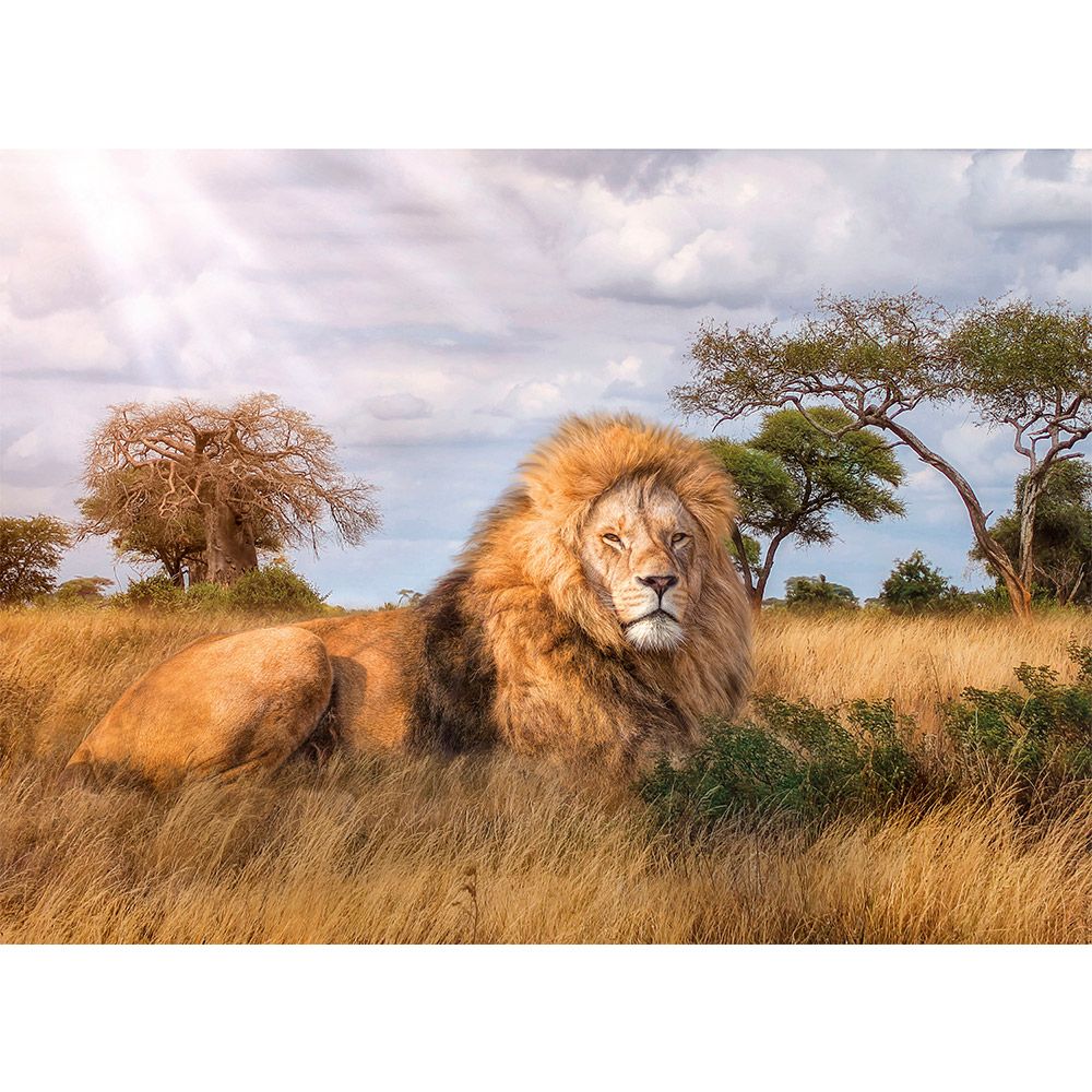 Puzzle 1000 piese Clementoni The King - poza 2