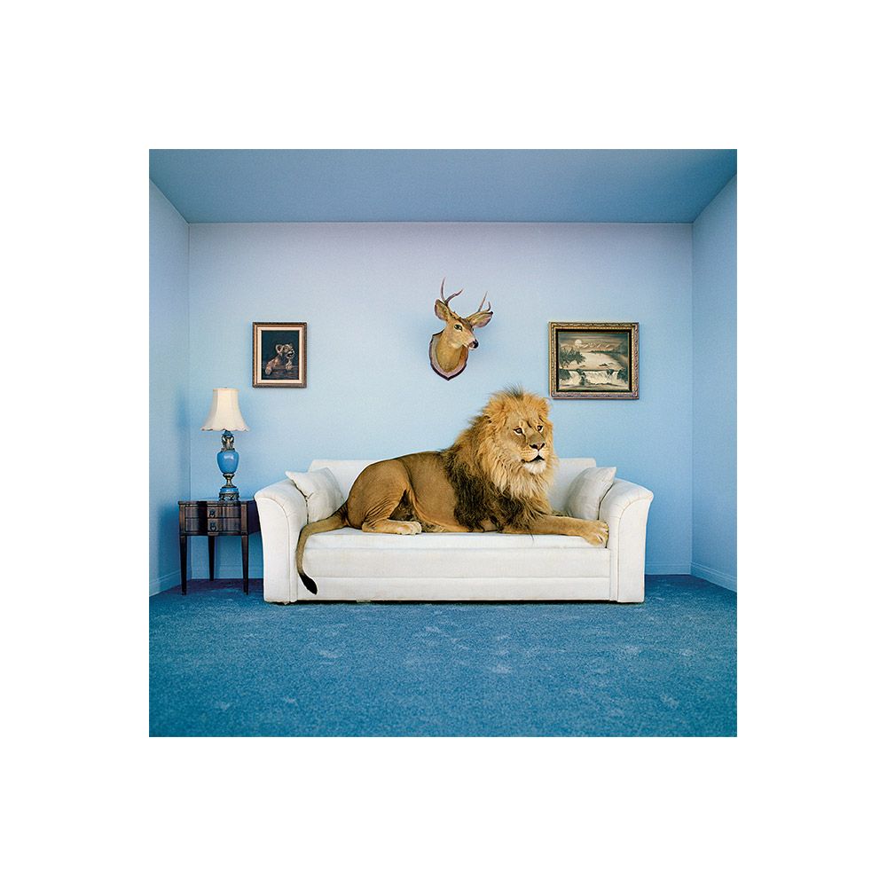 Puzzle 250 piese Clementoni Frame The Master Of The House - poza 2