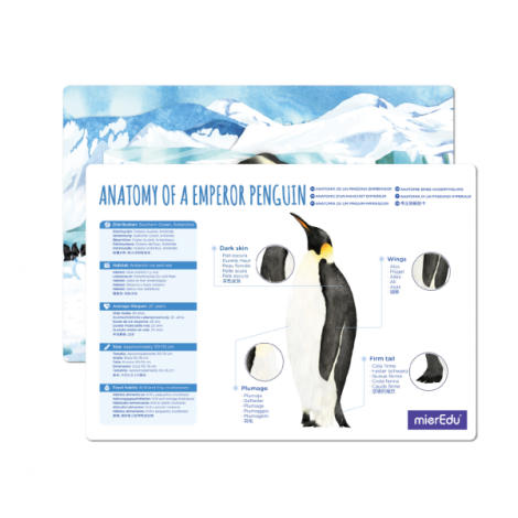 Puzzle 3D reglabil - Pinguin Imperial (deluxe) - poza 3