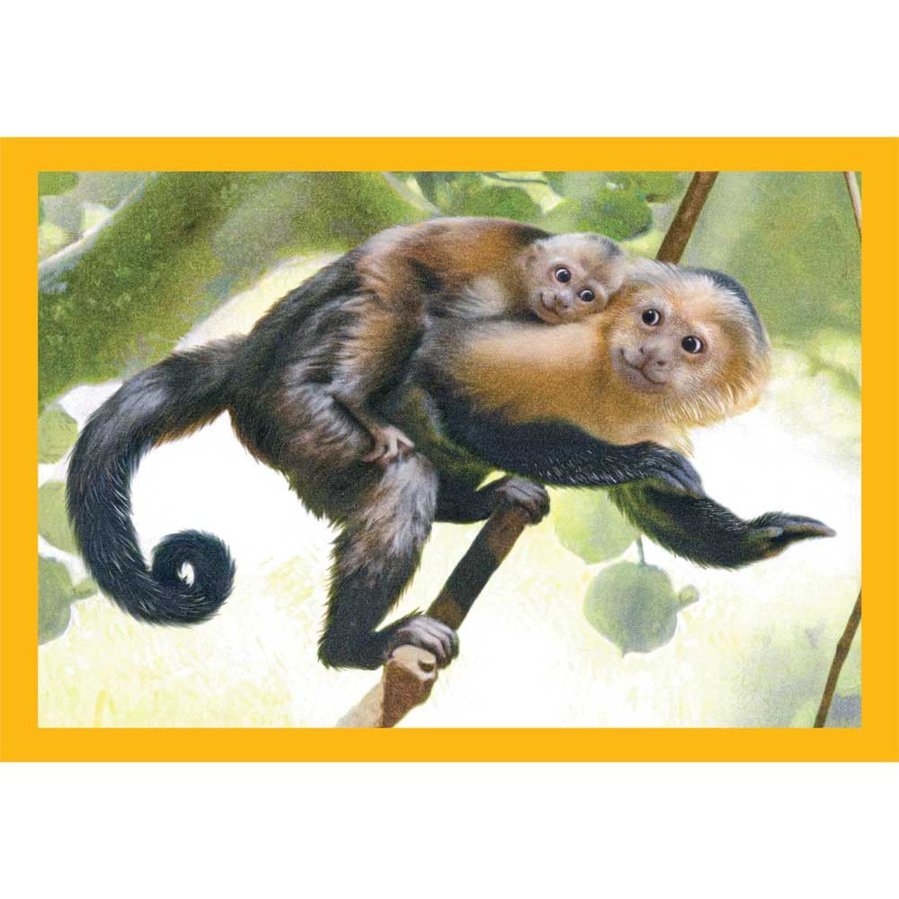 Puzzle 4 in 1 Clementoni Baby Cuddles 21532 - poza 3