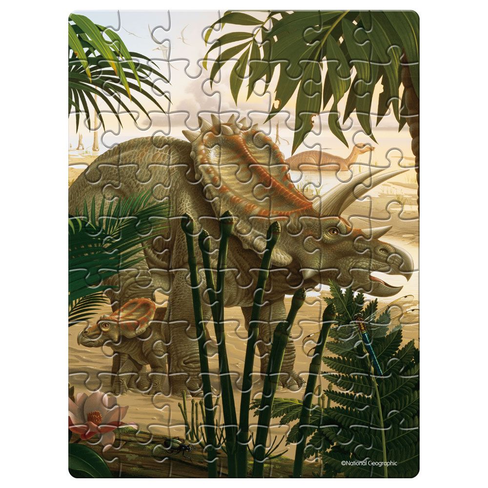 Puzzle 63 piese in ou metalic National Geographic Cubic Fun Triceratops - poza 2
