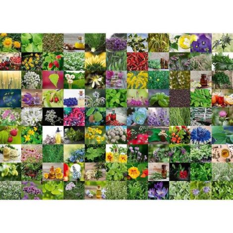 Puzzle 99 De Plante Si Condimente, 1000 Piese - poza 1