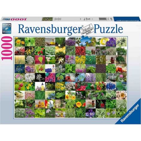 Puzzle 99 De Plante Si Condimente, 1000 Piese - poza 2