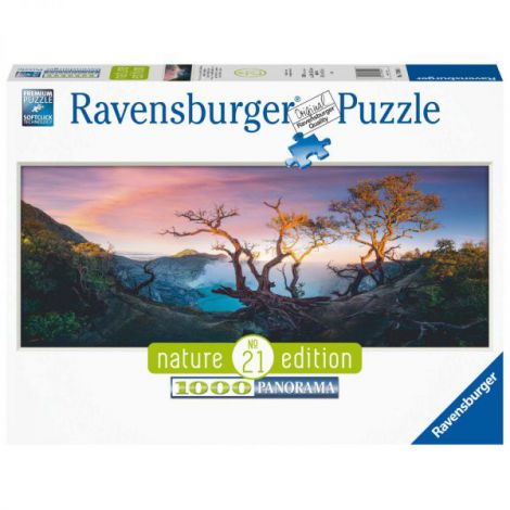 PUZZLE ACID LAKE JAVA, 1000 PIESE - poza 1