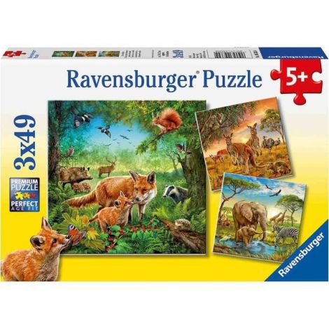 Puzzle Animalele Pamantului, 3X49 Piease - poza 4