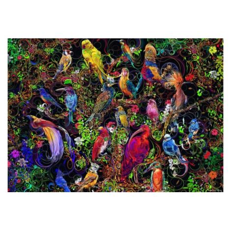 Puzzle Arta Pasarilor, 1000 Piese - poza 1