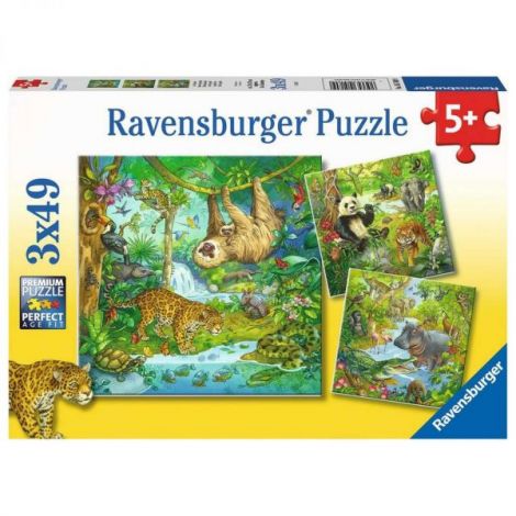 Puzzle Aventuri In Jungla, 3X49 Piese - poza 4