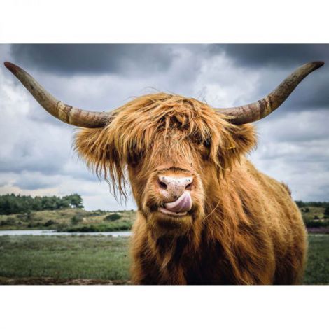 PUZZLE BOVINA, 300 PIESE - poza 2