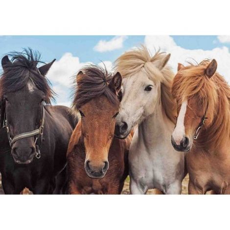 Puzzle Cai, 2X24 Piese - poza 1