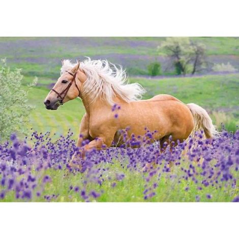 Puzzle Cai, 2X24 Piese - poza 2