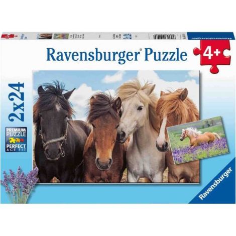 Puzzle Cai, 2X24 Piese - poza 3