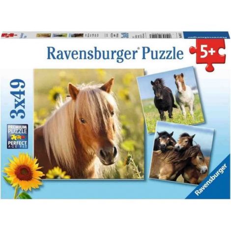 Puzzle Cai, 3X49 Piese - poza 2