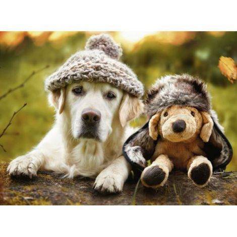 Puzzle Caine Cu Palarie, 500 Piese - poza 3