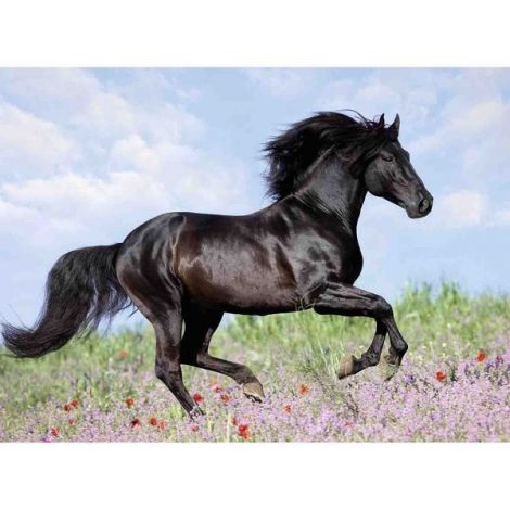 Puzzle Cal, 200 Piese - poza 1