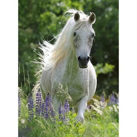 Puzzle Cal Alb, 100 Piese - poza 1