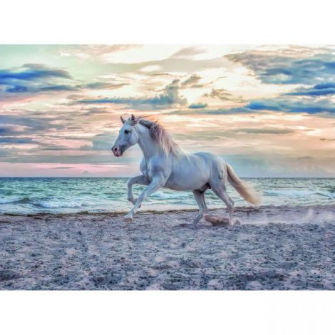 PUZZLE CAL PE PLAJA, 500 PIESE - poza 2
