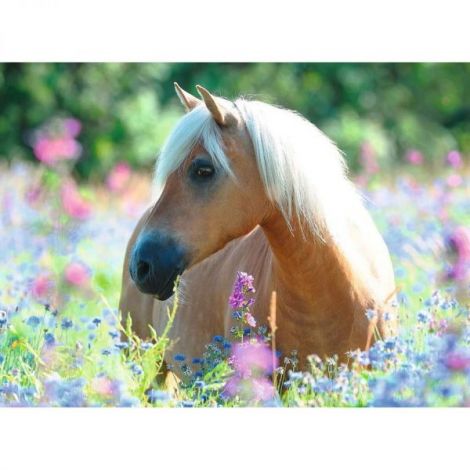 Puzzle Calut Pe Camp De Flori, 300 Piese - poza 1