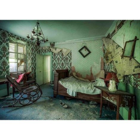 Puzzle Camera Parasita, 1000 Piese - poza 1