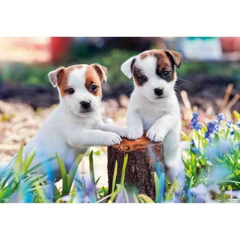 Puzzle Catelusi, 2X12 Piese - poza 1
