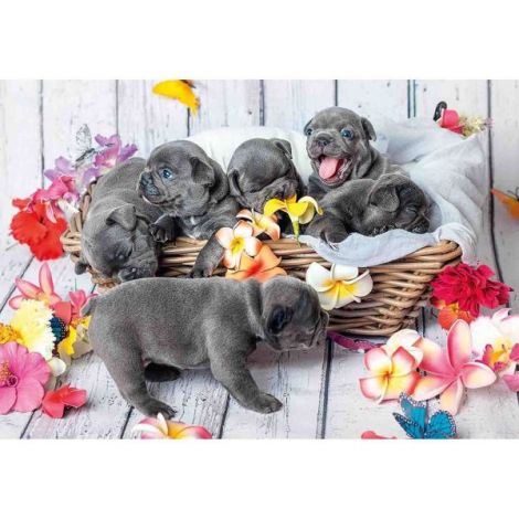 Puzzle Catelusi, 2X12 Piese - poza 2