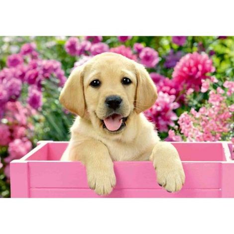 Puzzle Catelusi, 2X24 Piese - poza 1