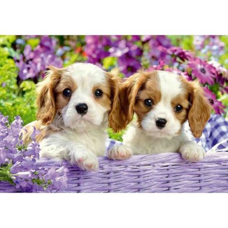 Puzzle Catelusi, 2X24 Piese - poza 2