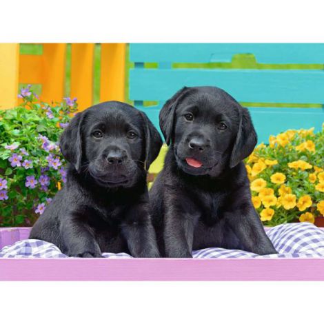 PUZZLE CATELUSI, 300 PIESE - poza 2
