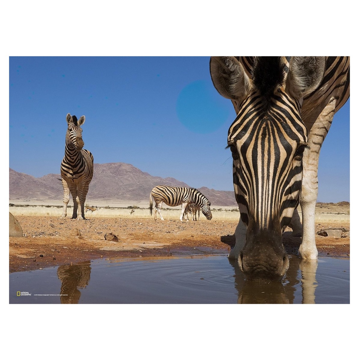 Puzzle Clementoni 1000 piese Zebra National Geographic 39356 - poza 2