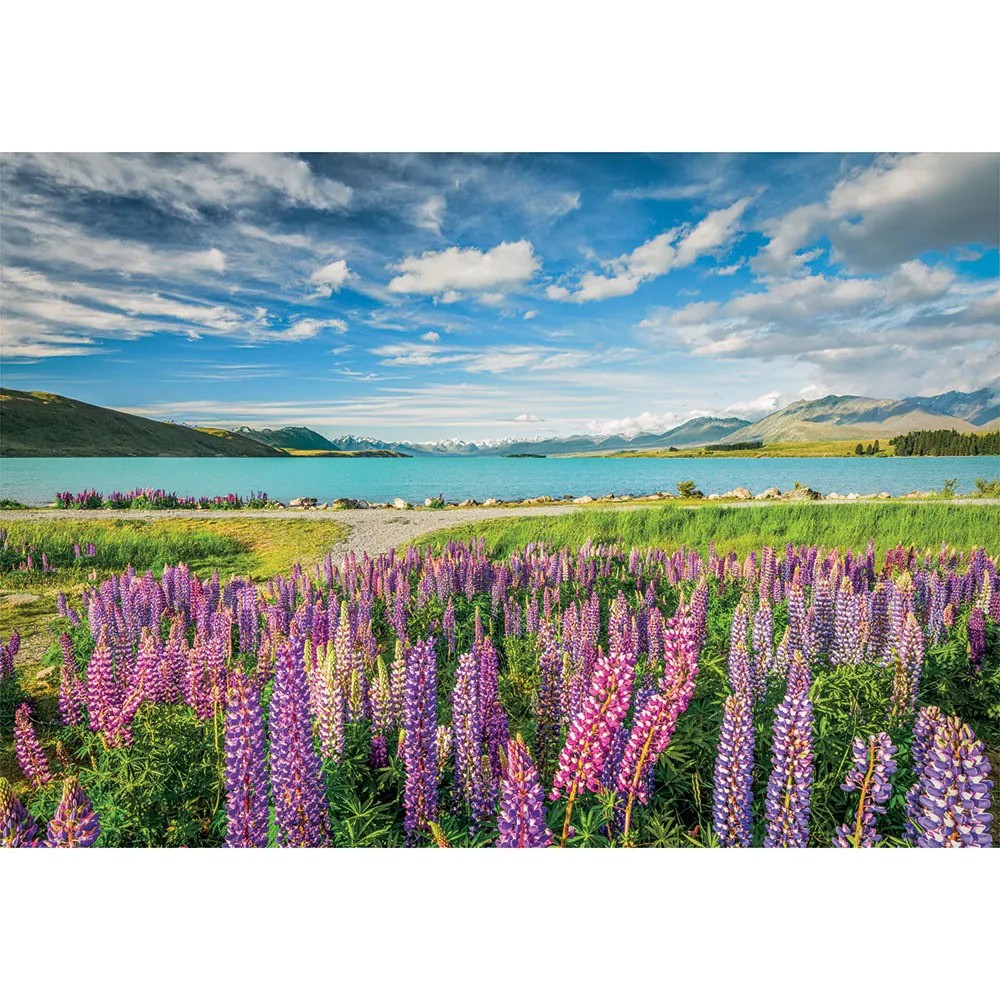 Puzzle Clementoni 1500 piese Flori de Lupic pe malul lacului Tekapo 31728 - poza 2