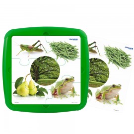 Puzzle Culoarea verde - poza 1