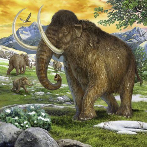 Puzzle dinozauri, 3x49 piese - poza 2