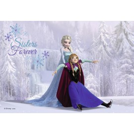 Puzzle frozen surori pentru totdeauna 2x24 piese - poza 3