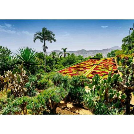 Puzzle gradina botanica Madeira 1000 piese - poza 1
