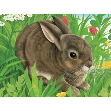 PUZZLE IN CUTIE ANIMALE, 12 PIESE - poza 2