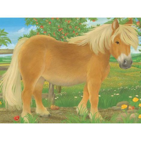 PUZZLE IN CUTIE ANIMALE, 12 PIESE - poza 3