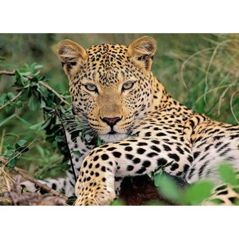 Puzzle Leopard, 100 Piese - poza 1