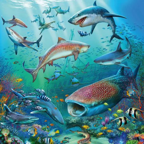 PUZZLE LUMEA SUBACVATICA, 3x49 PIESE - poza 3