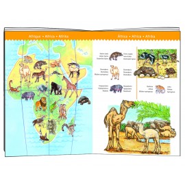 Puzzle observație Djeco Animalele lumii - poza 2