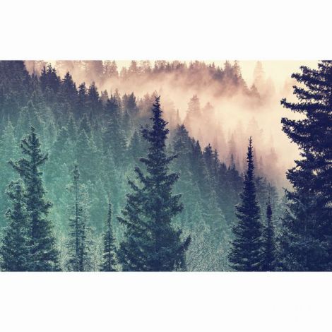 PUZZLE PADURE, 200 PIESE - poza 2