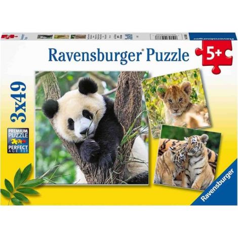 Puzzle Panda, Leu Si Tigru, 3X49 Piese - poza 4