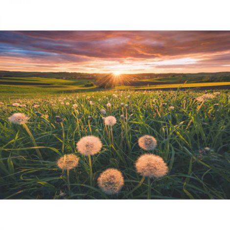 PUZZLE PAPADII LA APUS, 500 PIESE - poza 2