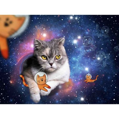 Puzzle Pisicute In Spatiu, 1500 Piese - poza 1
