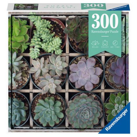 PUZZLE PLANTE SUCULENTE, 300 PIESE - poza 1